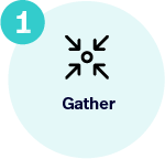 Gather Insights