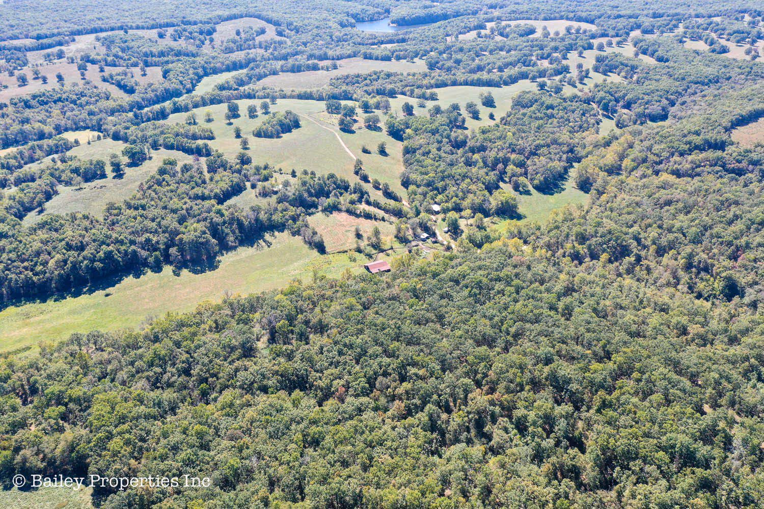 Beautiful green lush farm