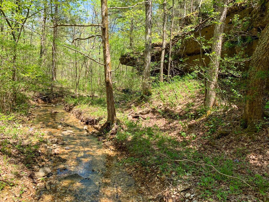 Bailey Properties Weekly Blog #2