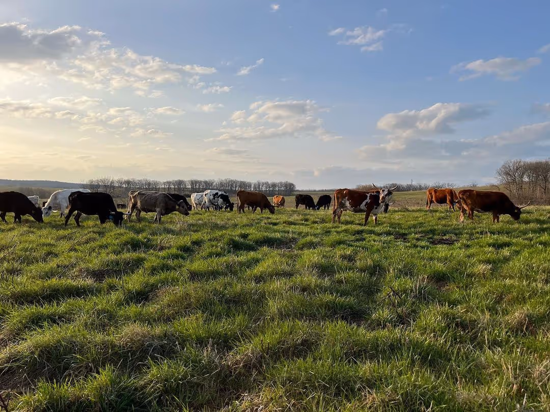 Bass Fishing Management - Land Link Issue #8