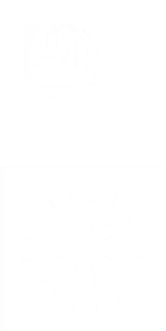 Abstract geometric patterns with concentric circles and radial lines, symbolizing secure data collaboration.