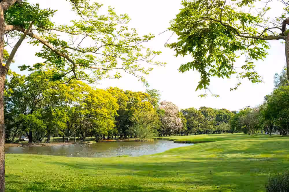 Park Area, ITPL Biospace