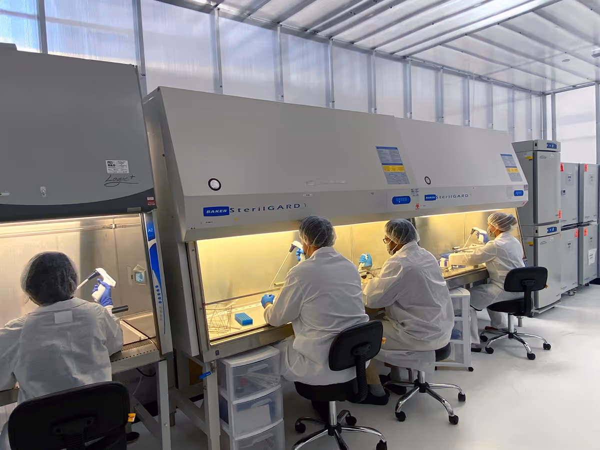 Scientists in lab coats working under biosafety cabinets with sterile equipment at SMS Biotech laboratory.