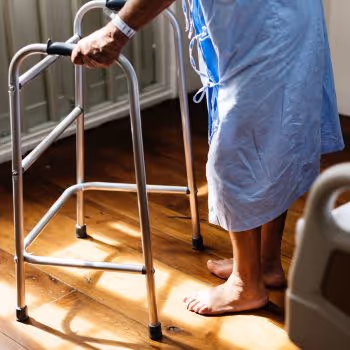 Ageing Hallmarks Exhibit Organ-Specific Temporal Signatures