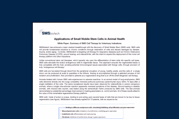 A New Era in Veterinary Regenerative Medicine: How SMS Cells Are Transforming Animal Health
