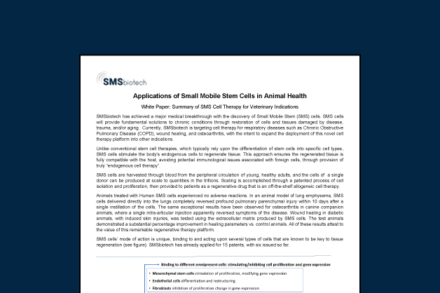 A New Era in Veterinary Regenerative Medicine: How SMS Cells Are Transforming Animal Health