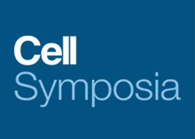 How do you create compelling presentations?