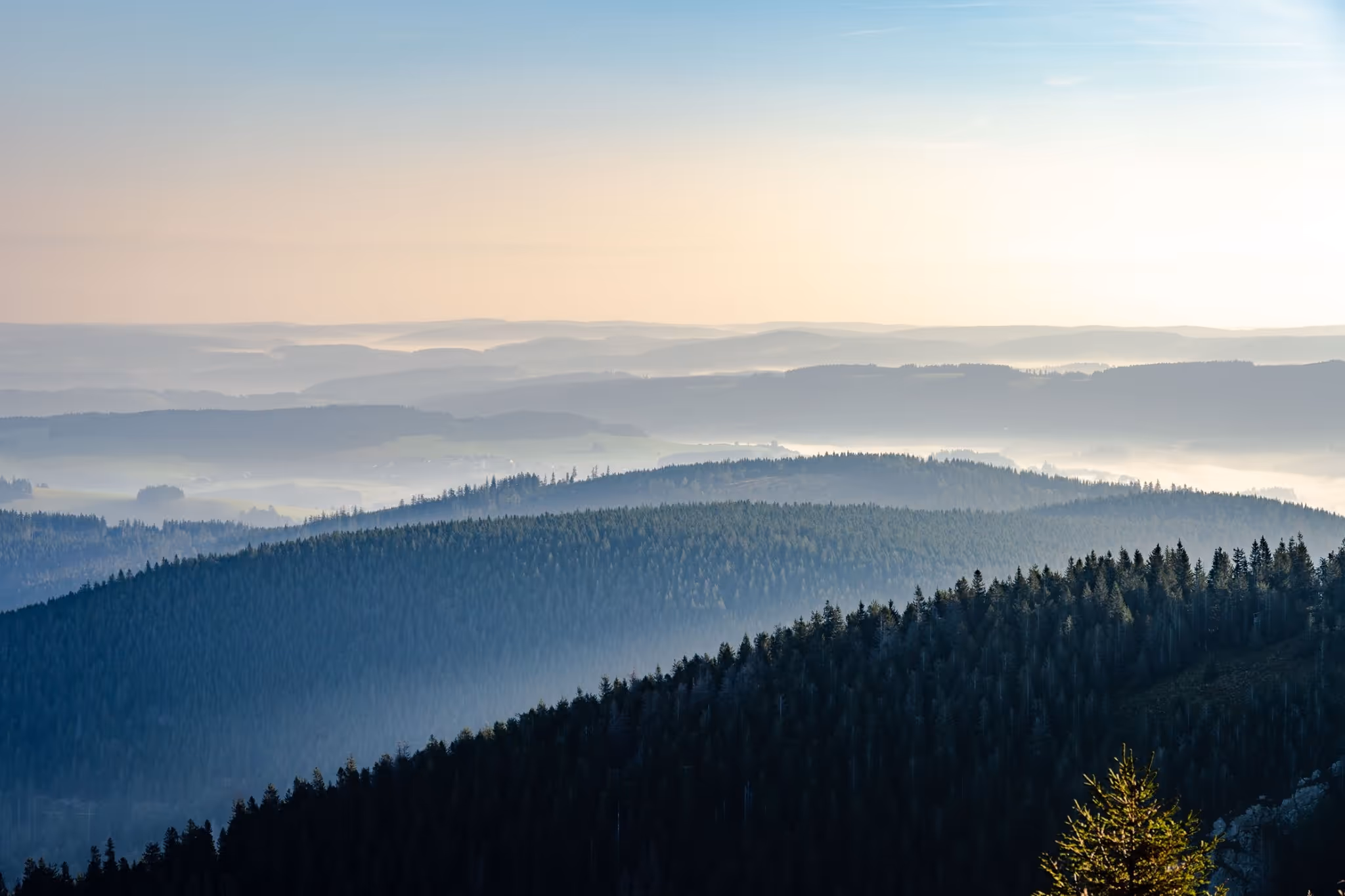 Weitblick über bewaldete Höhenzüge des Schwarzwalds bei Dämmerung mit sanftem Nebel in den Tälern.