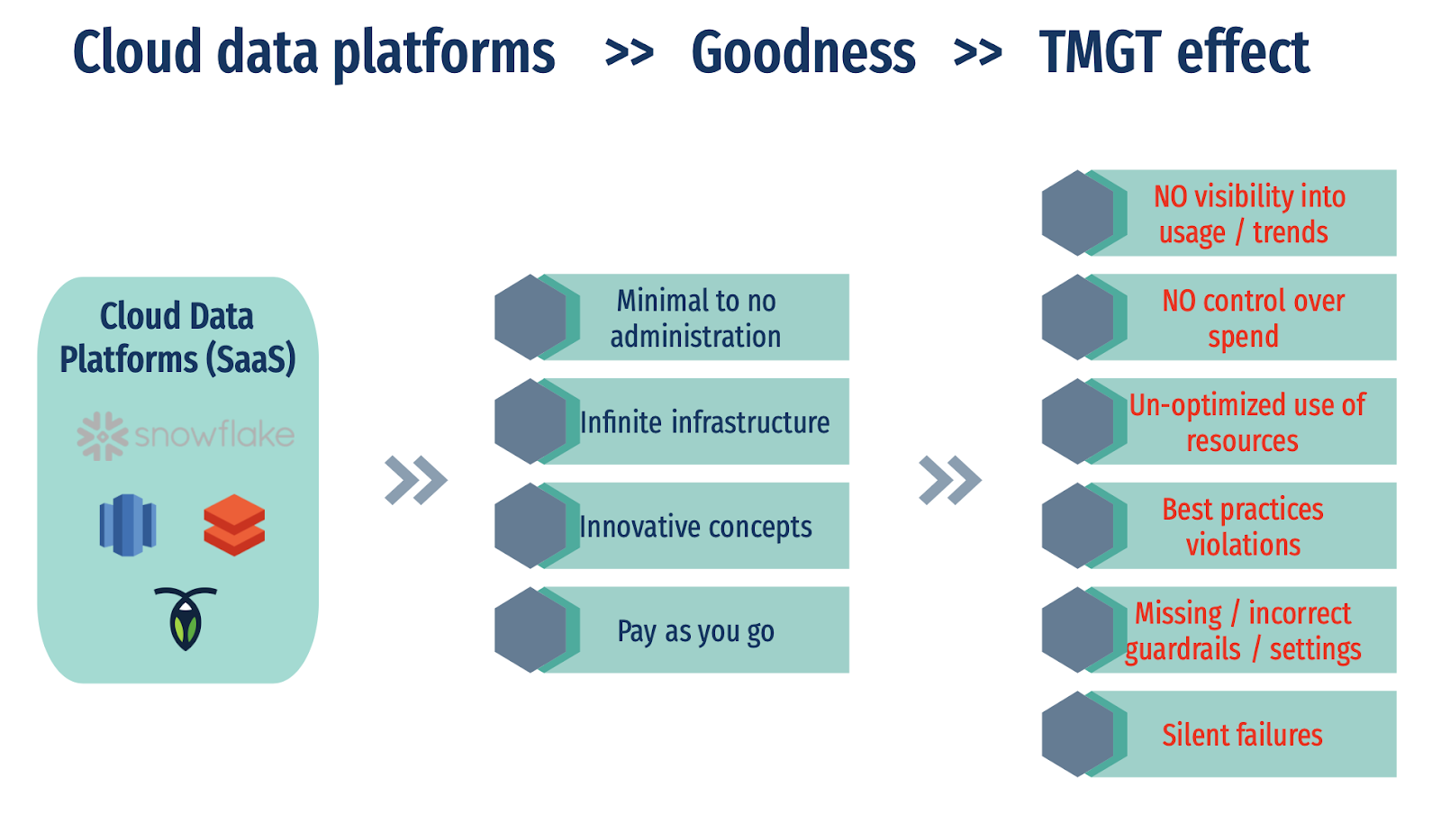 cloud data platforms TMGT effect