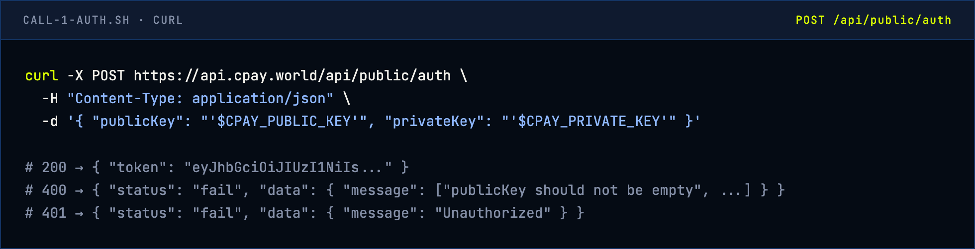 curl example: POST /api/public/auth with publicKey and privateKey returns a token