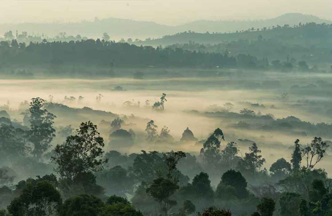 Stay connected in Cameroon with reliable eSIM