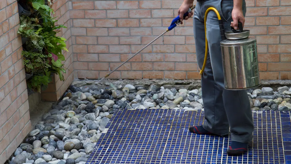 How Home Maintenance Can Help Exterminate Pests