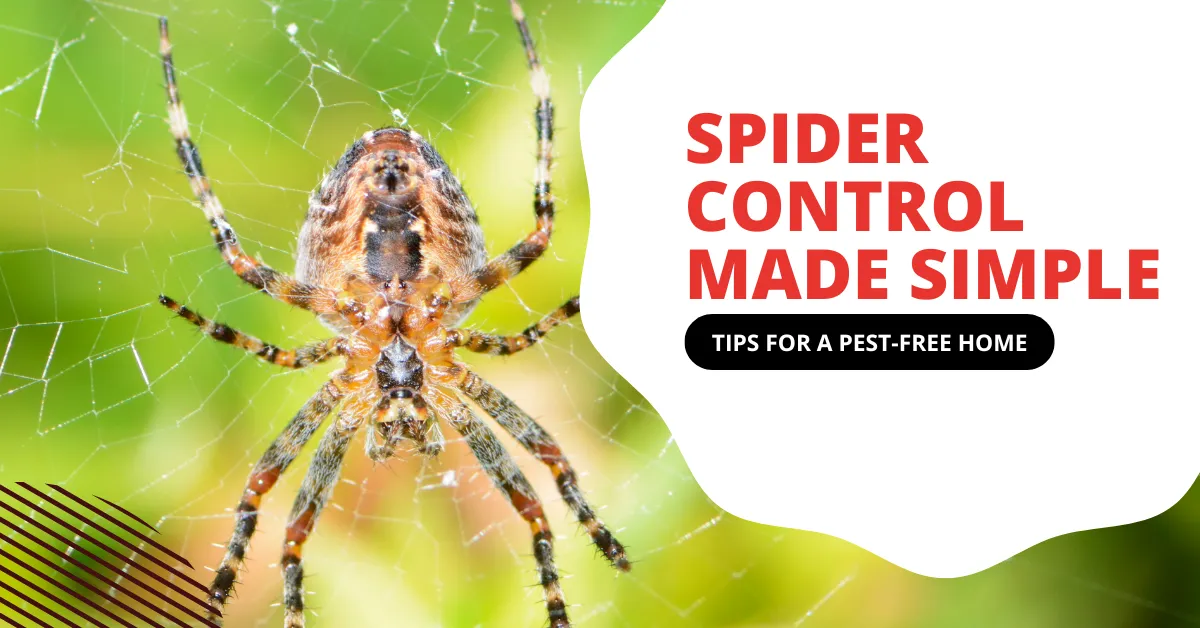 Spider Control Made Simple: Tips for a Pest-Free Las Vegas Home