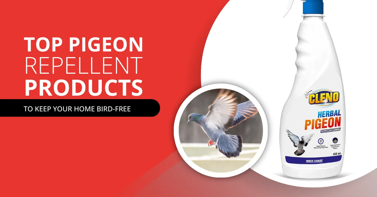 Top Pigeon Repellent Products to Keep Your Home Bird-Free