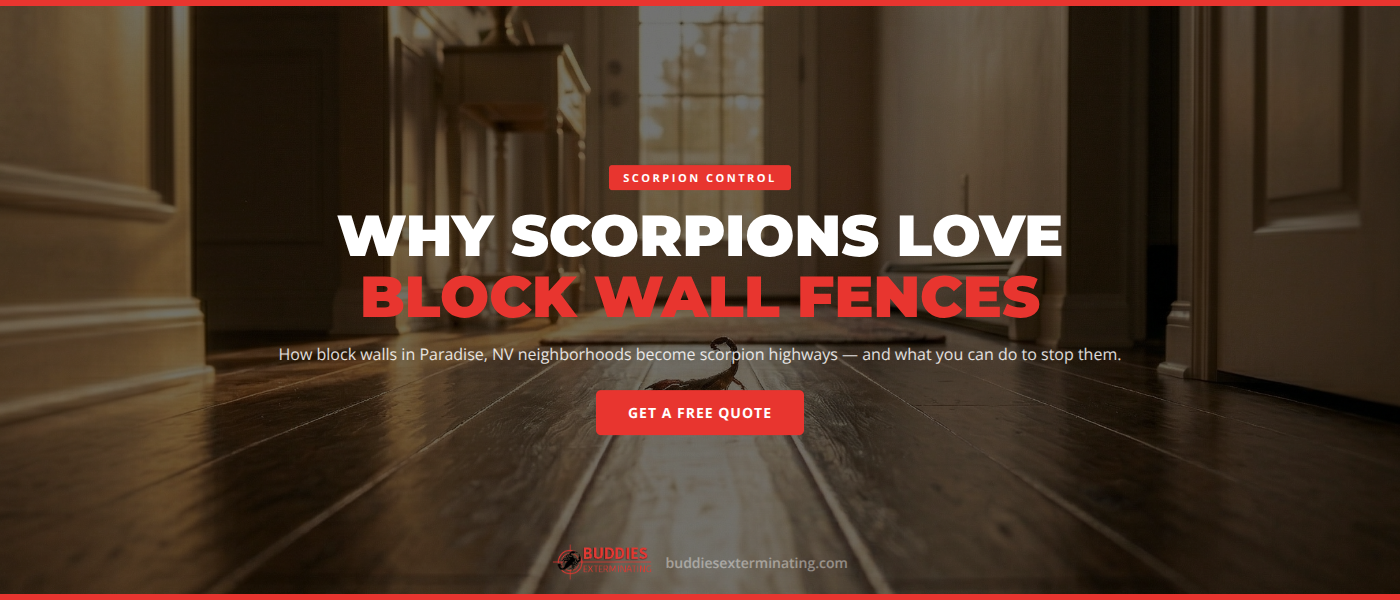 Scorpion on a desert surface near a concrete block wall fence in a Paradise Nevada neighborhood