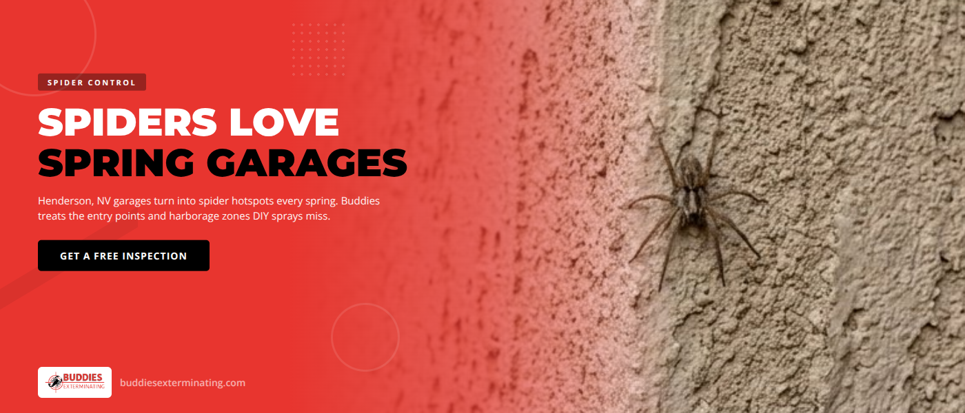 Spider activity in a Henderson NV garage - Buddies Exterminating spider control