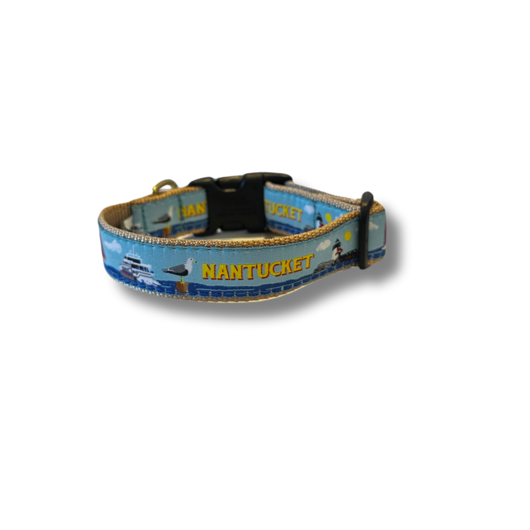Nantucket Harbor Collar