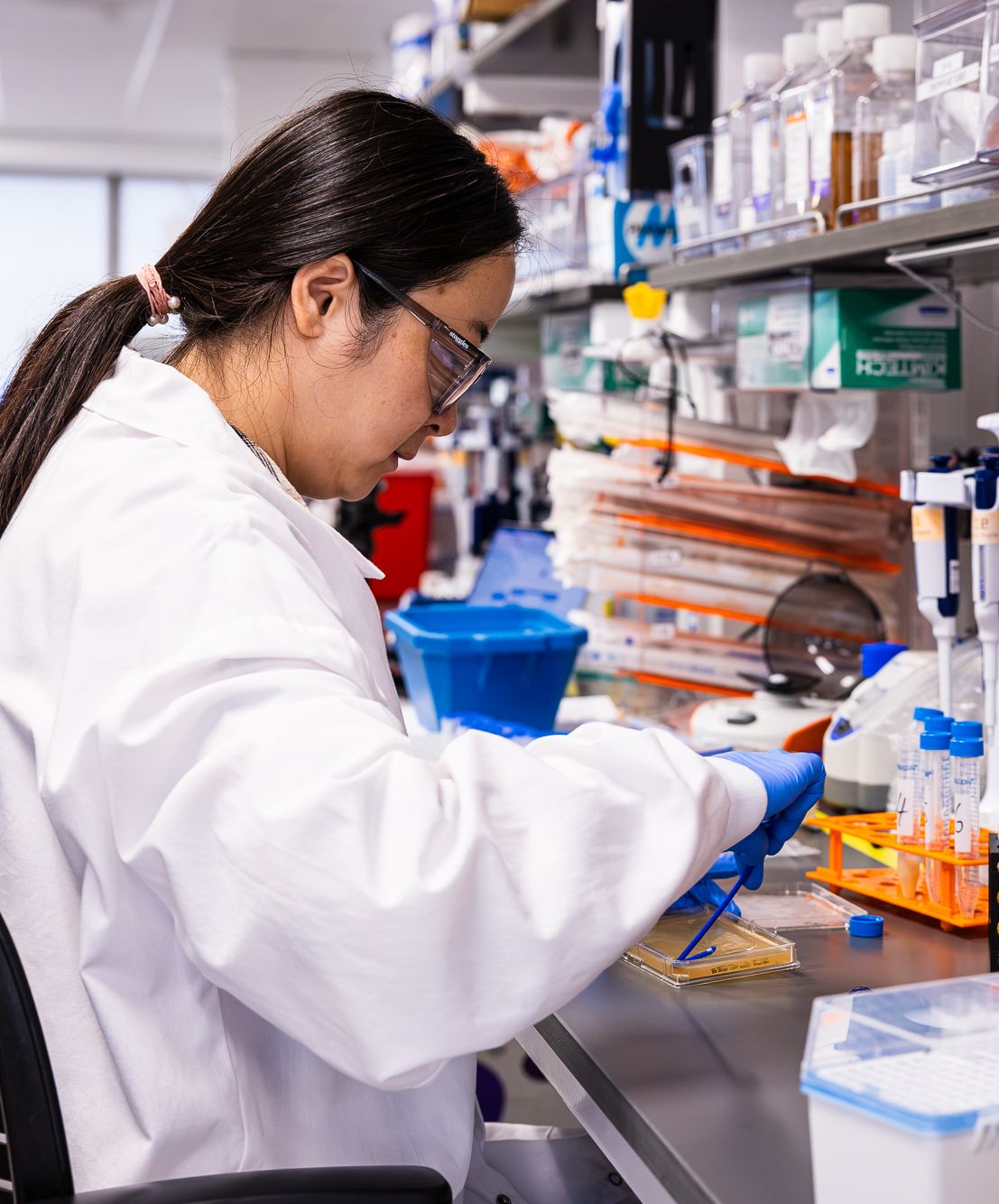 BigHat scientist preparing samples at a lab bench