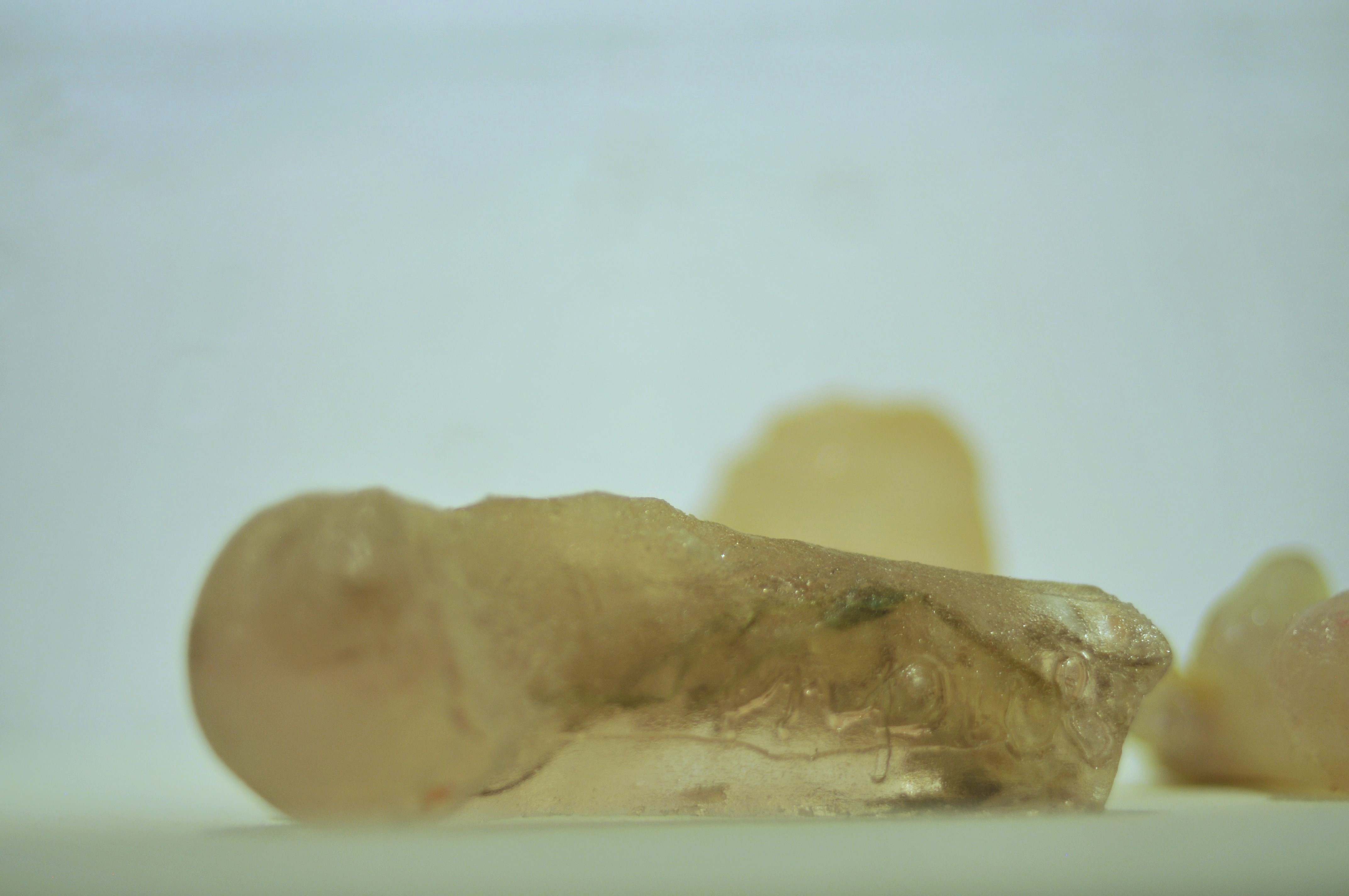 Photo by Anna Serjant 