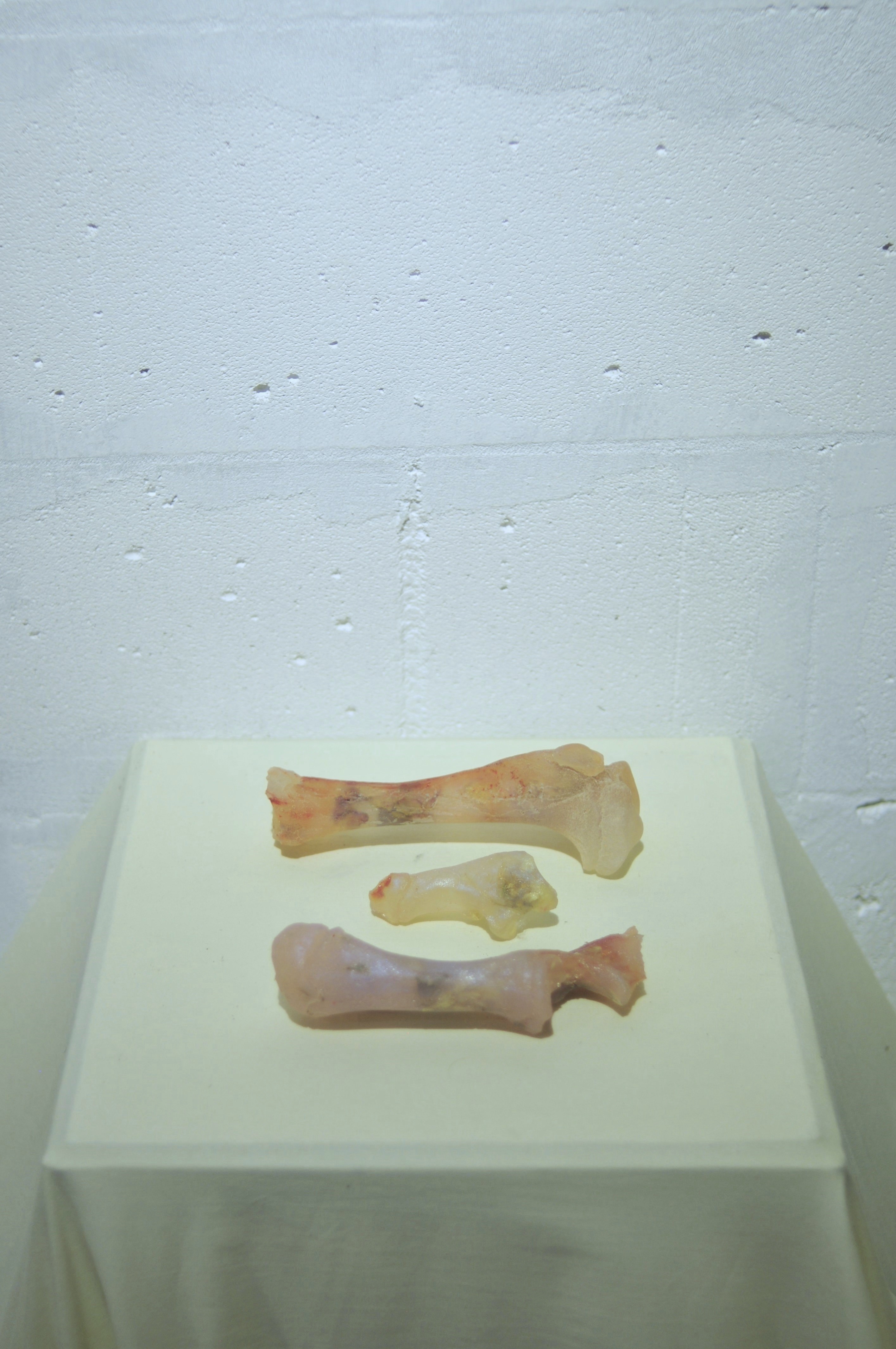 Photo by Anna Serjant 