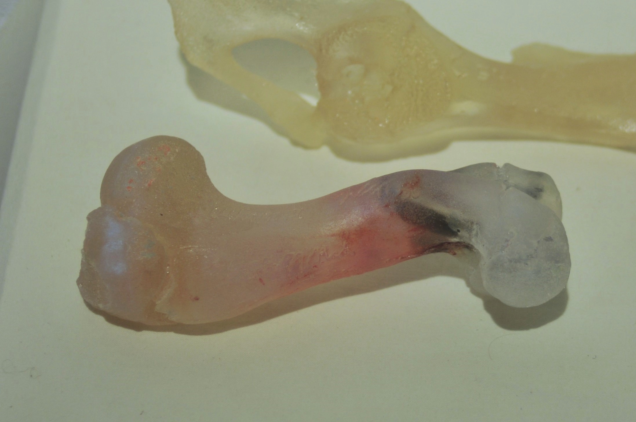 Photo by Anna Serjant 