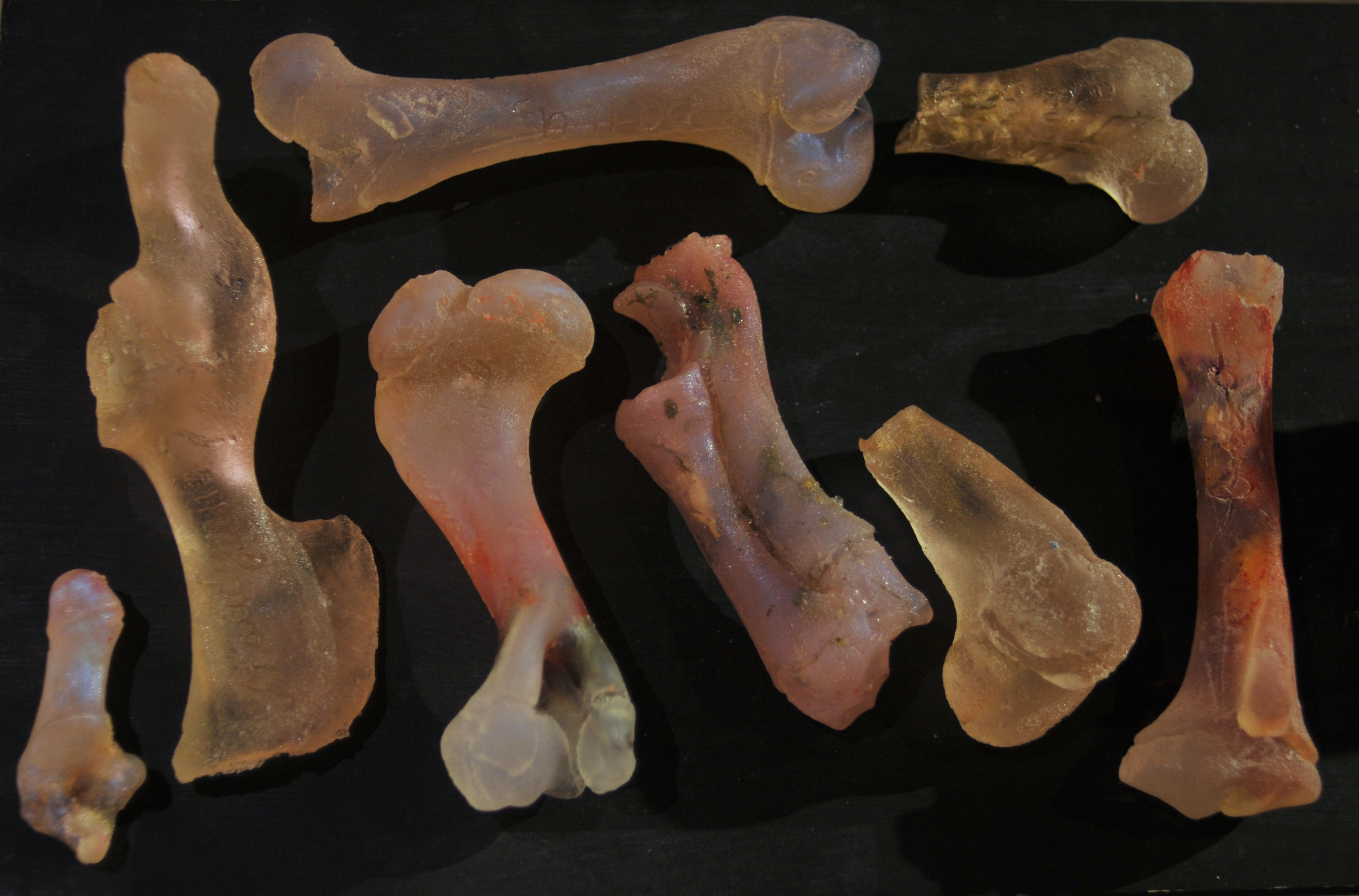 Photo by Anna Serjant 