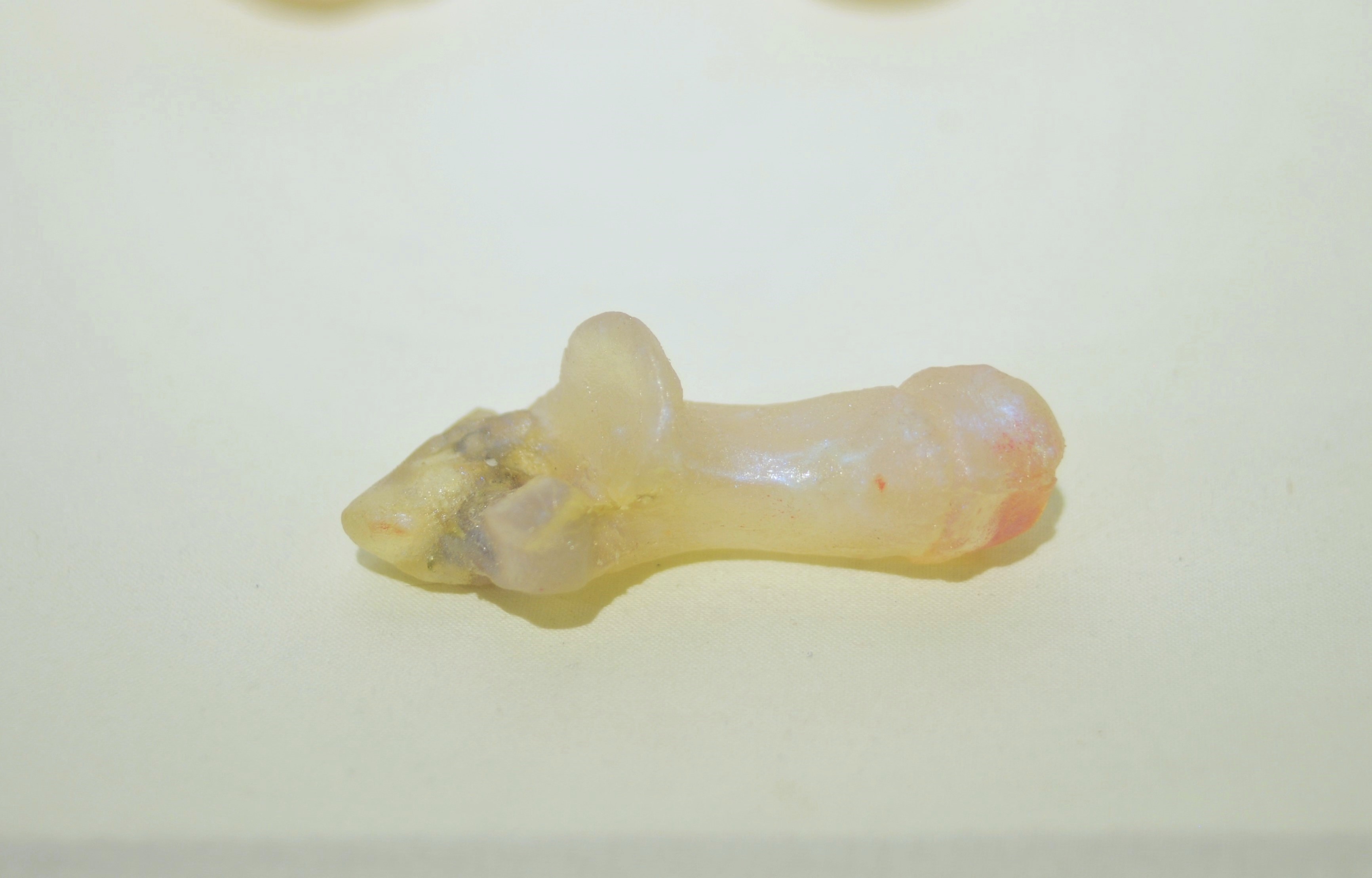 Photo by Anna Serjant 