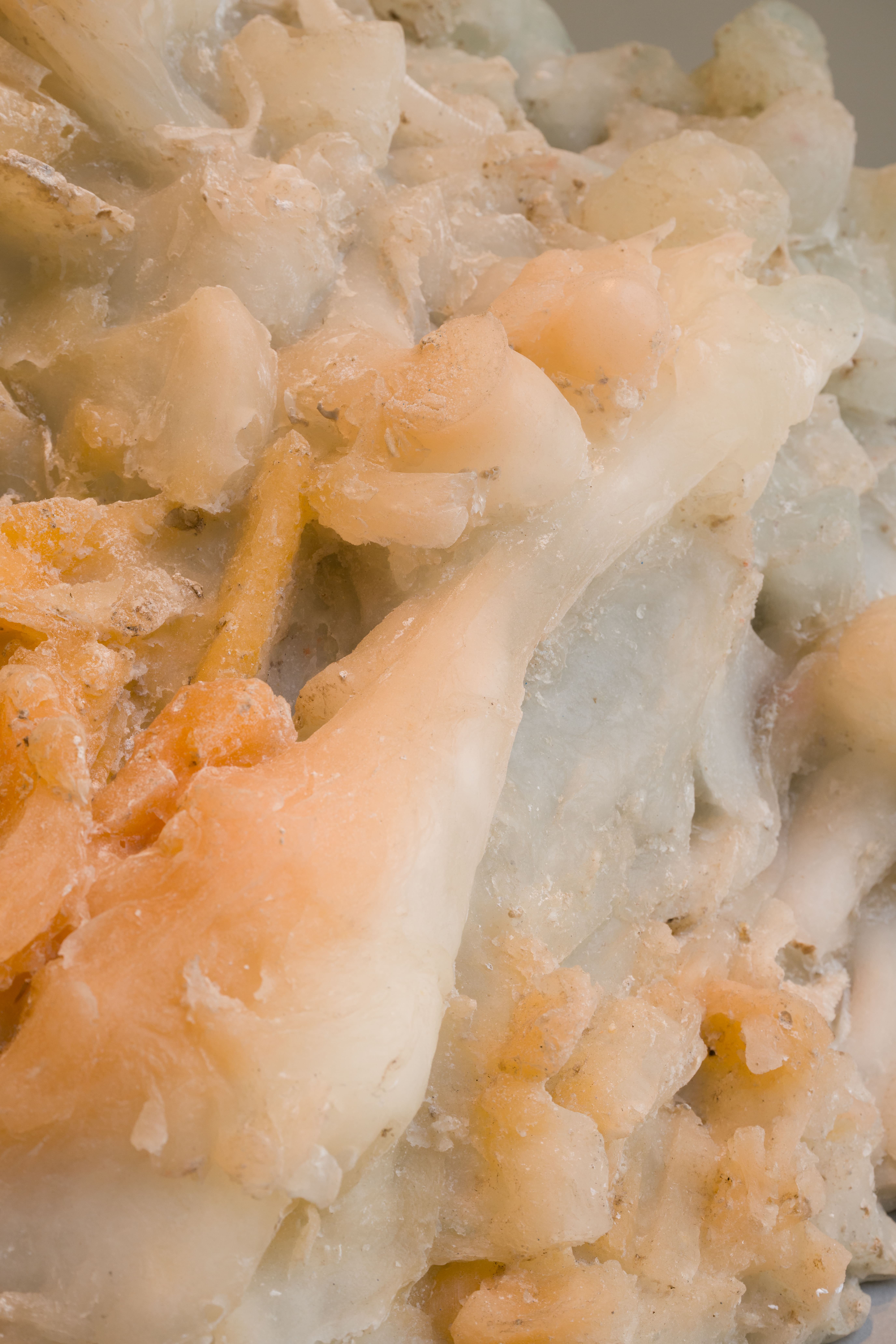 Photo by Felix SC Wong