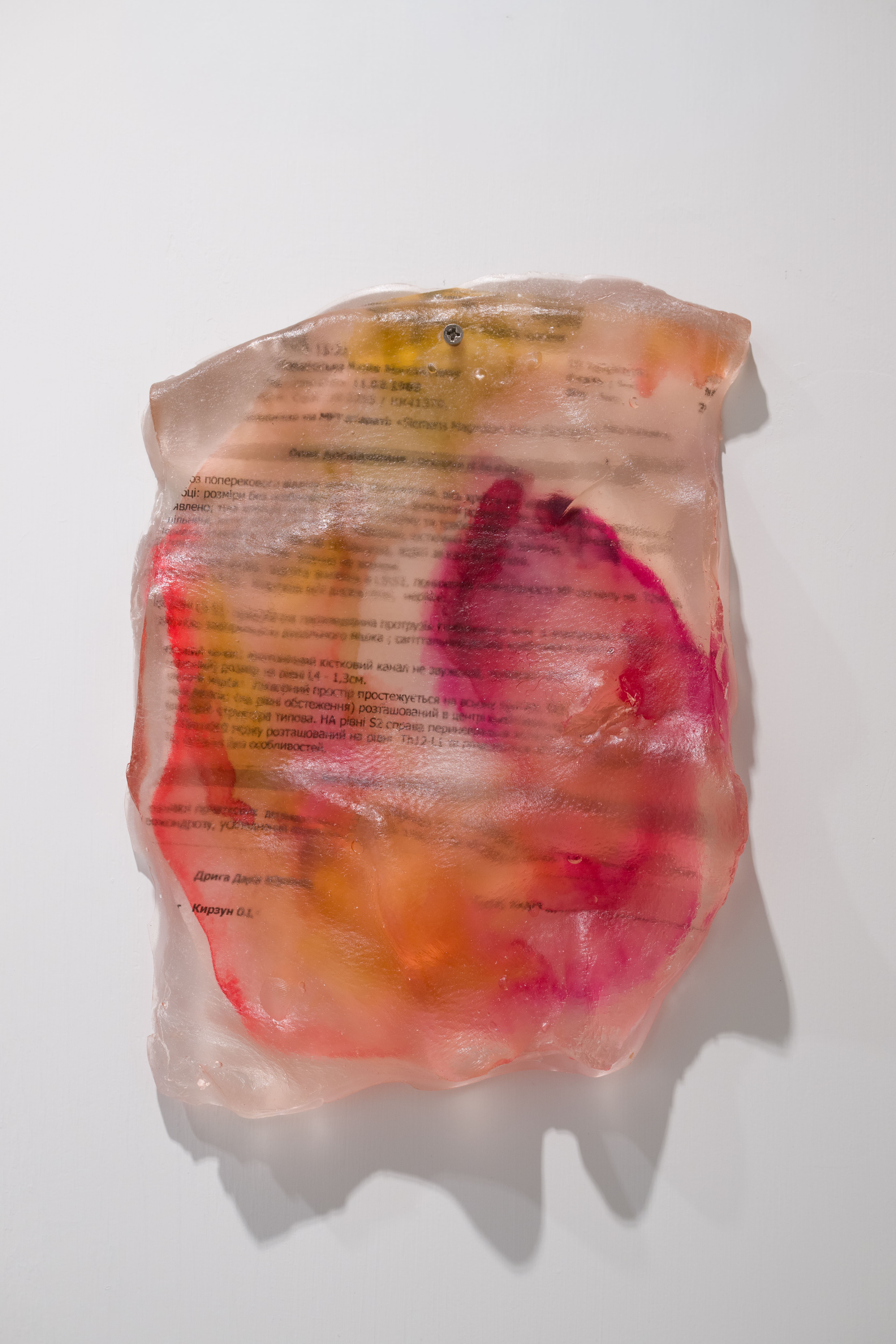 Photo by Felix SC Wong