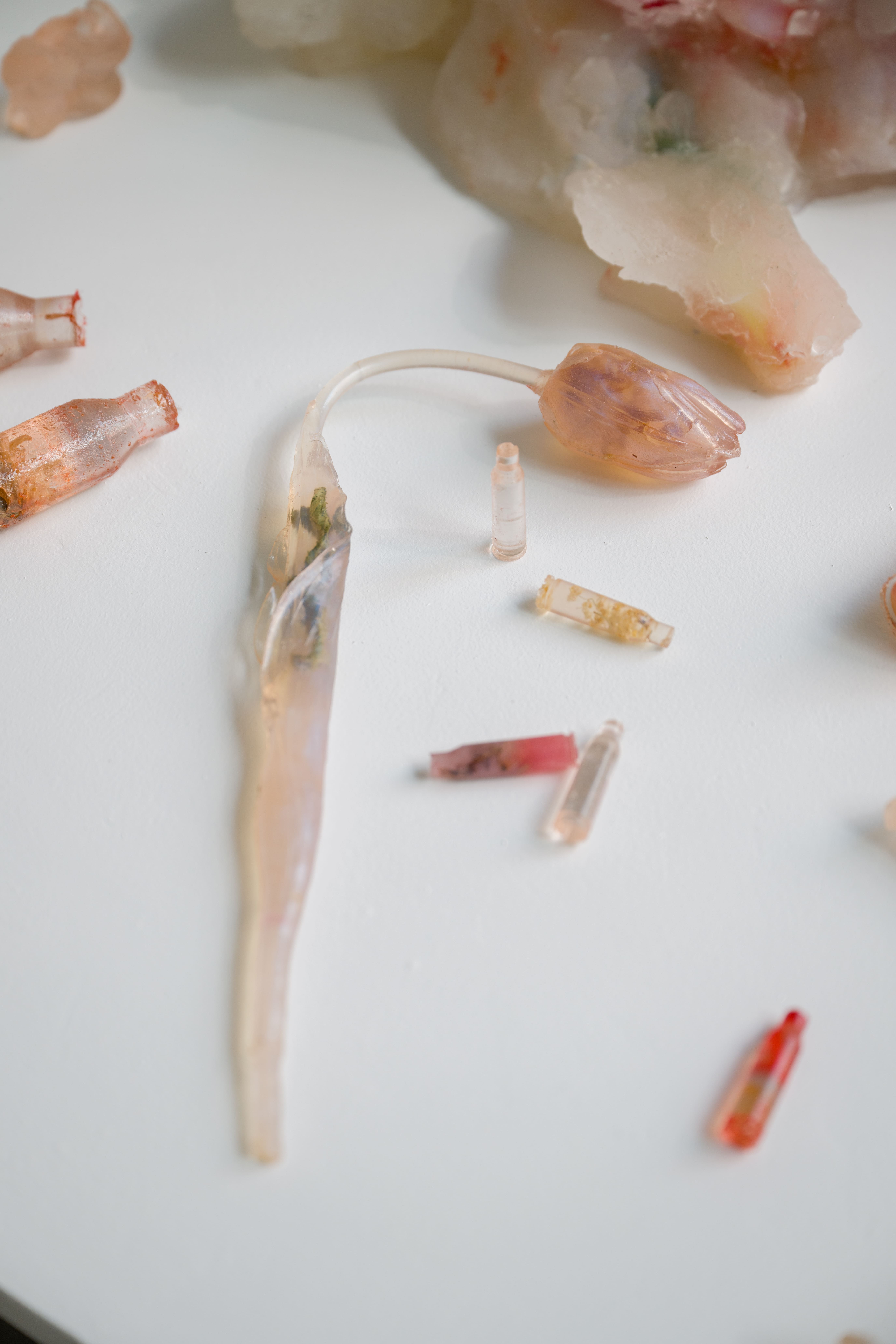 Photo by Felix SC Wong