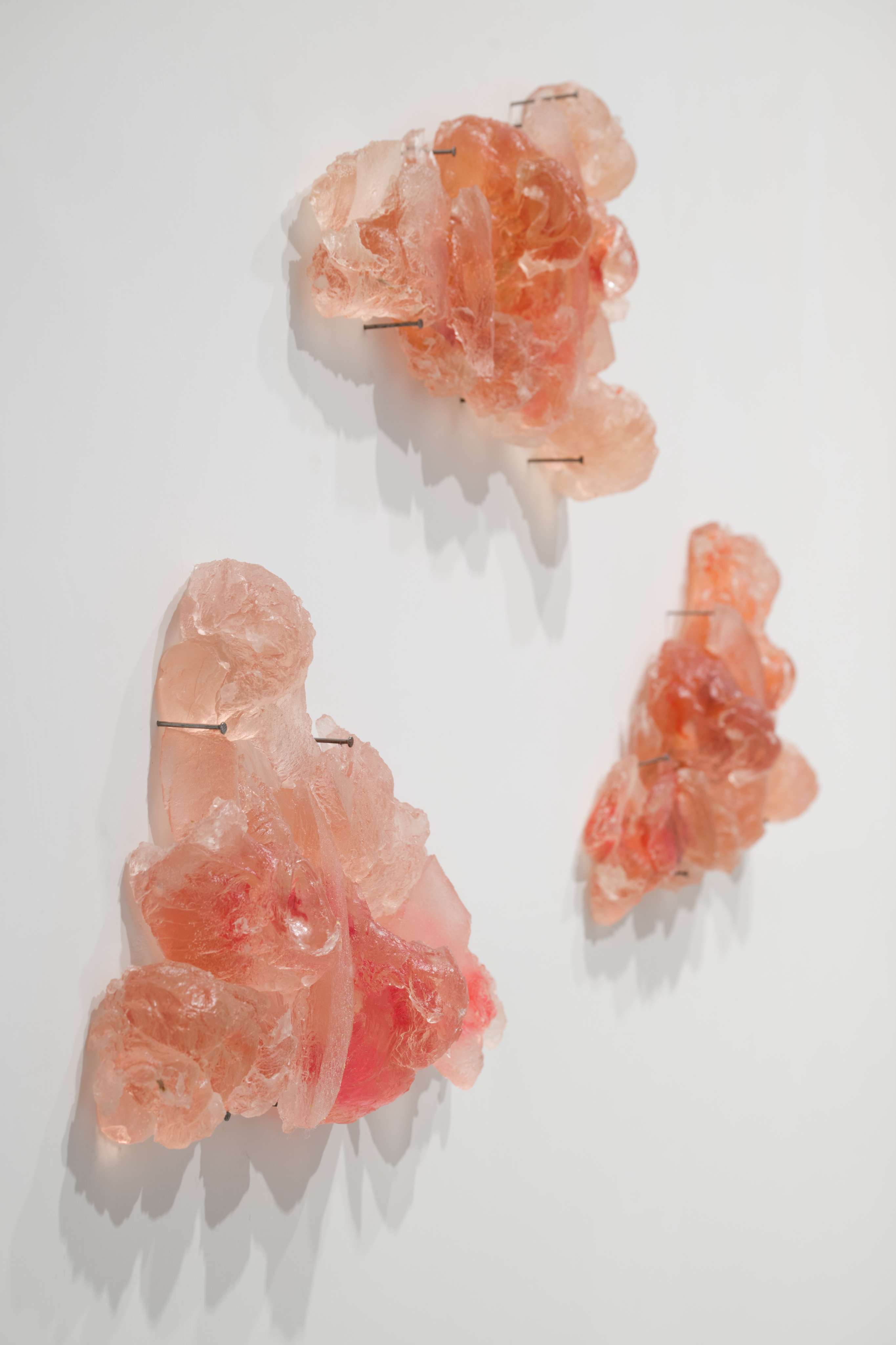 Photo by Felix SC Wong