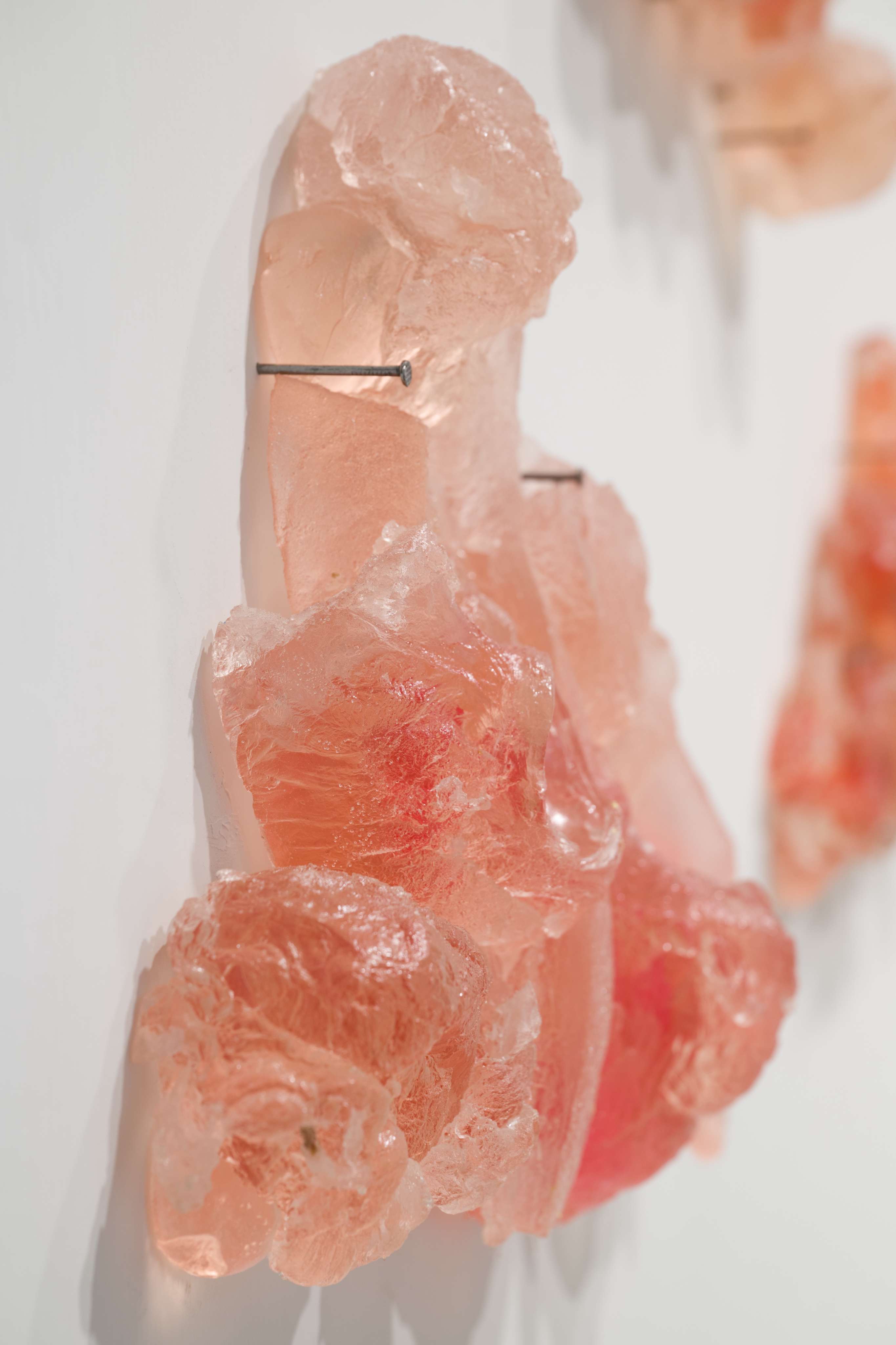 Photo by Felix SC Wong