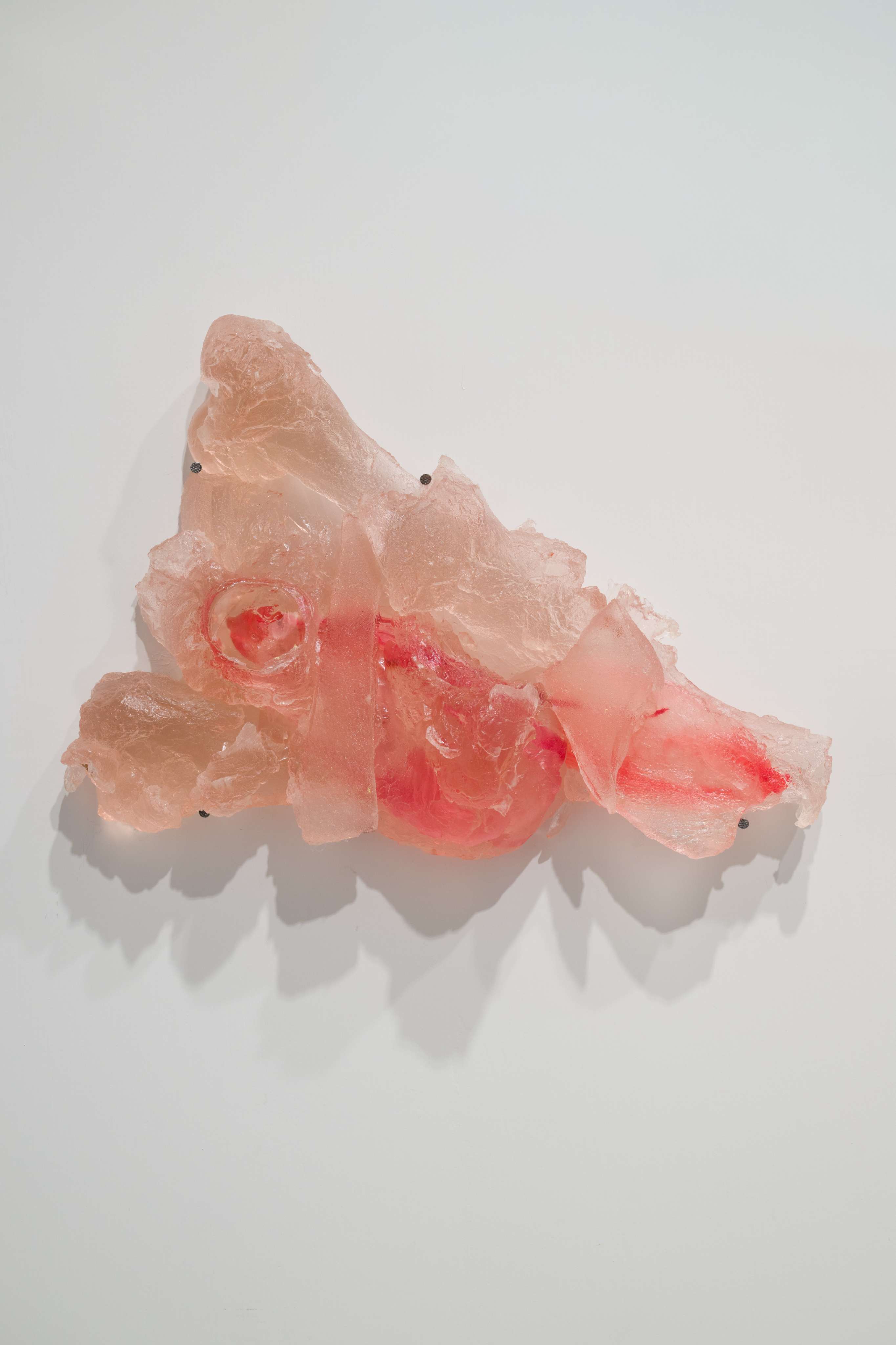 Photo by Felix SC Wong