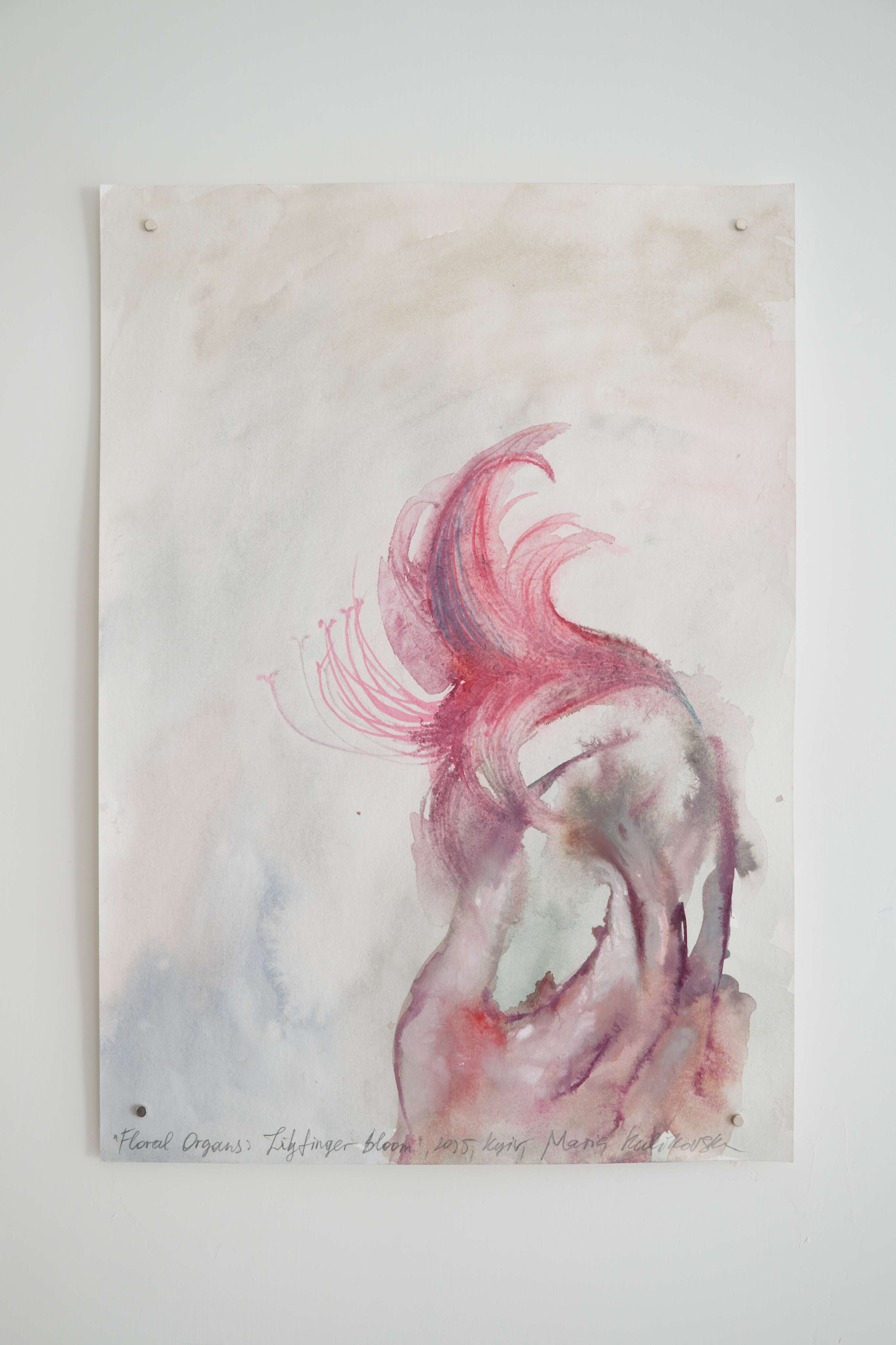 Photo by Felix SC Wong