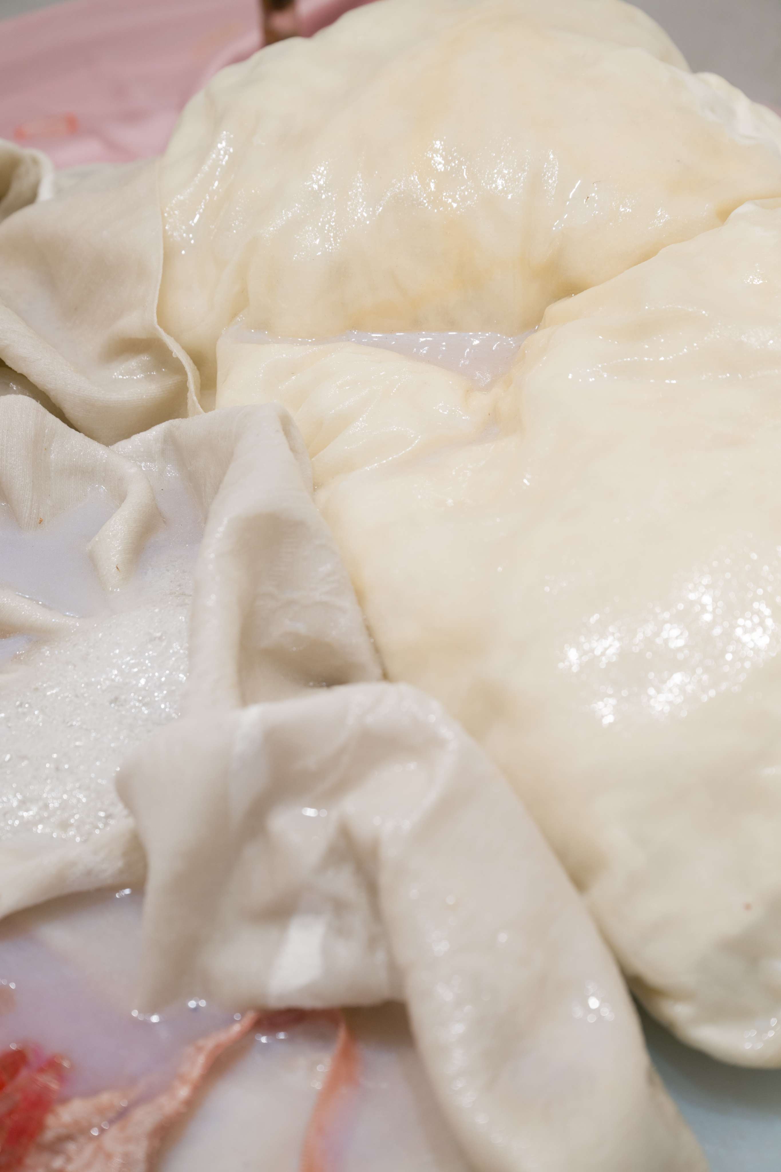 Photo by Felix SC Wong