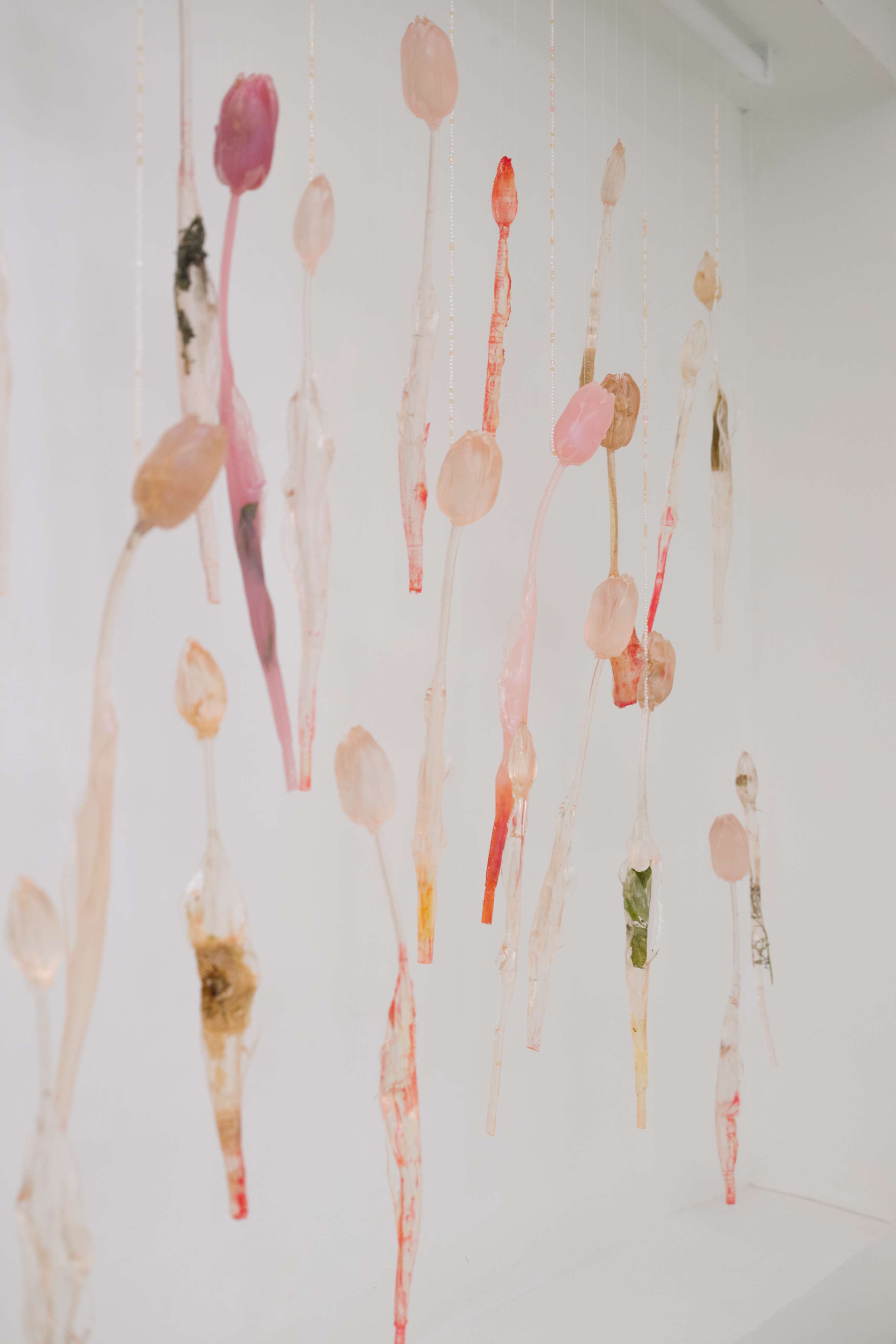 Photo by Felix SC Wong