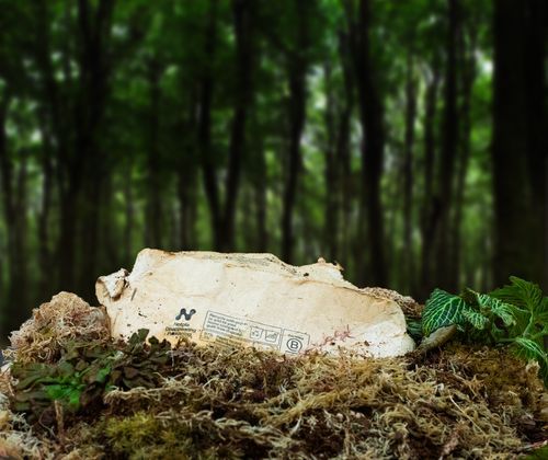 Innovative Disposable Food Containers | Notpla