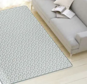 Gray sofa and carpet