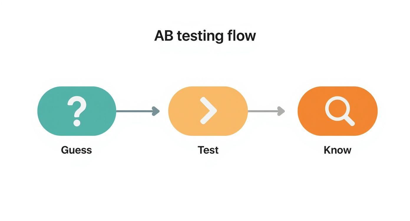 Infographic about ab testing for landing pages