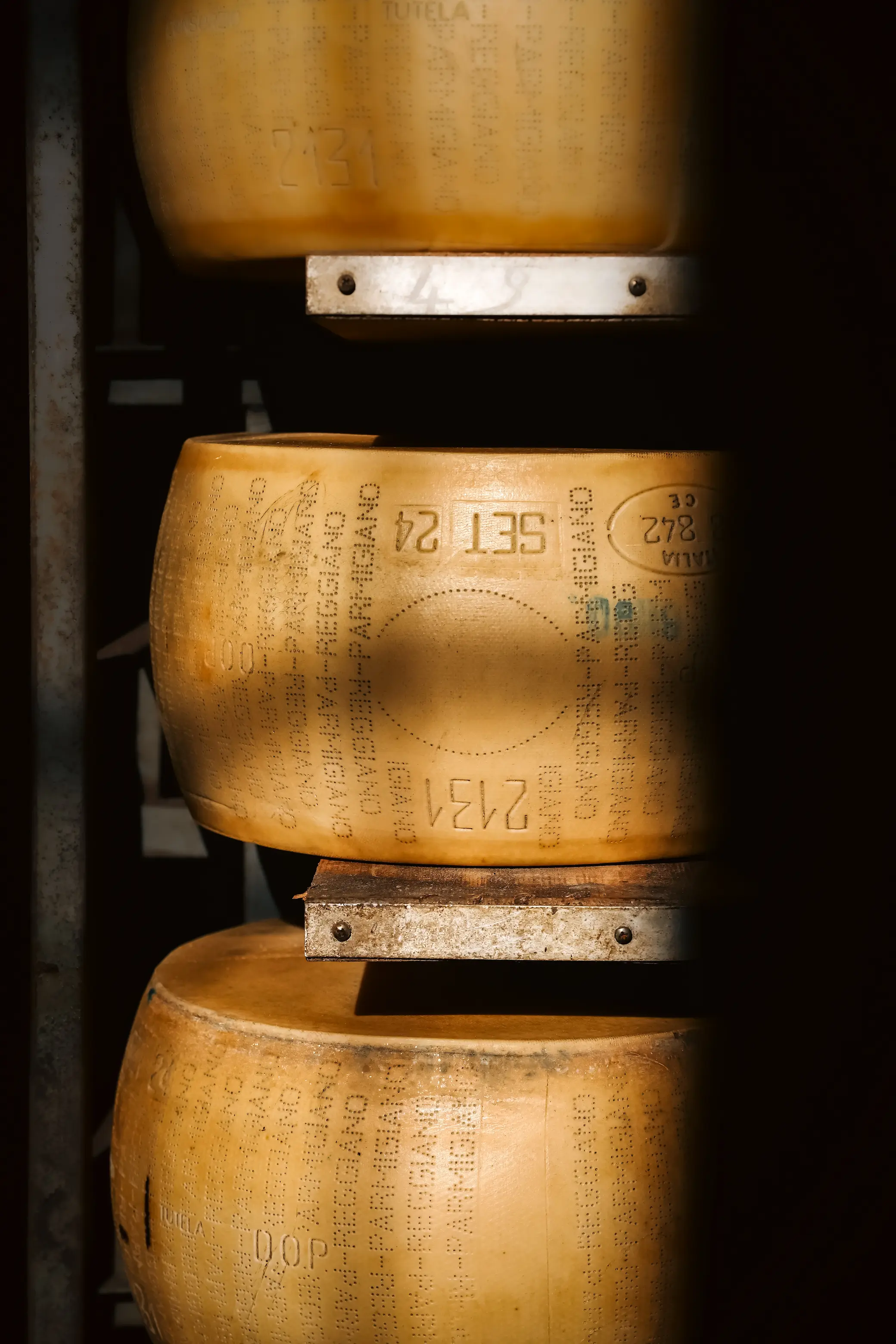 Parmesan wheel in the factory in Parma Italy - Parmigiana Reggiano