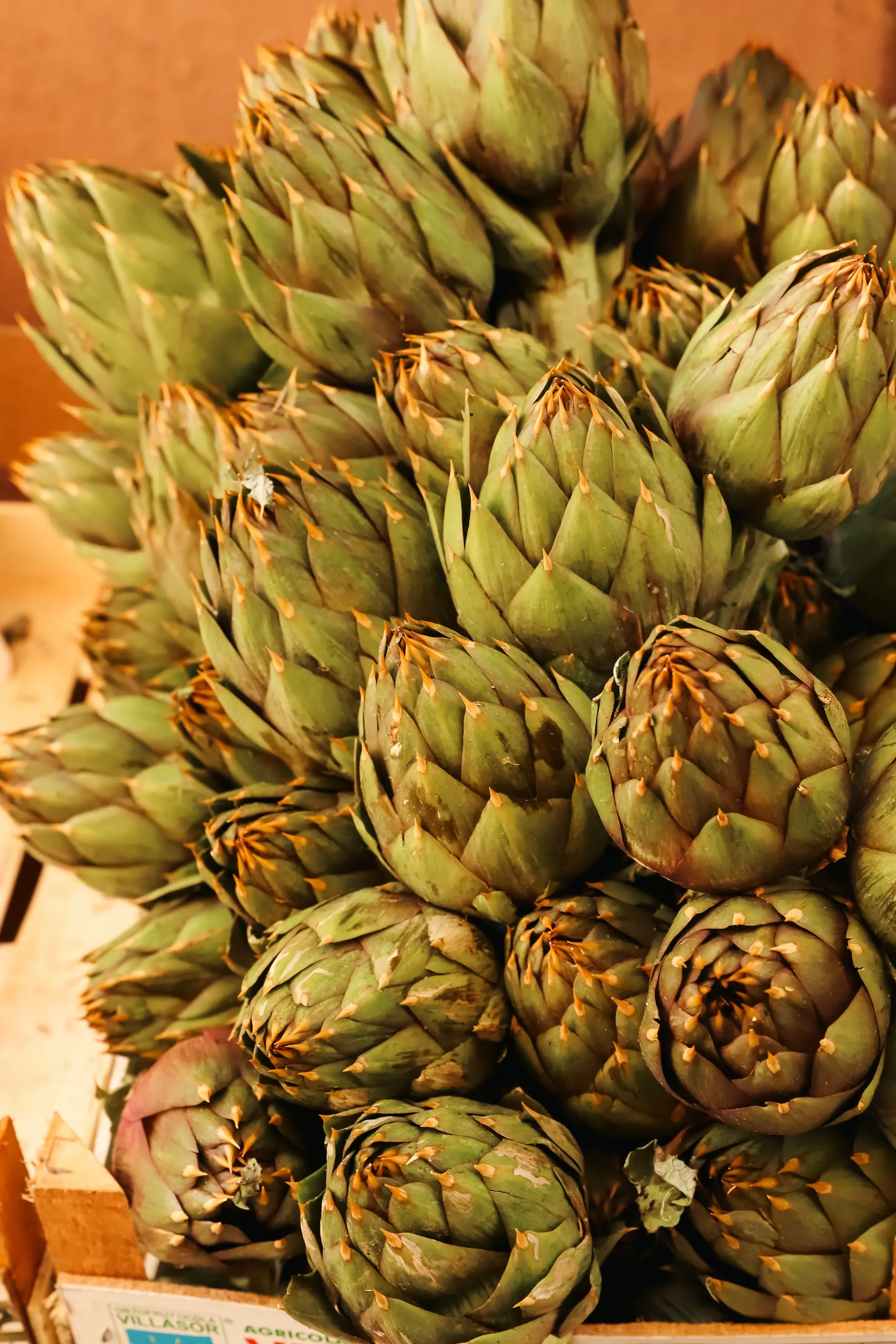 Fresh Artichokes on the streets of Parma, Italy