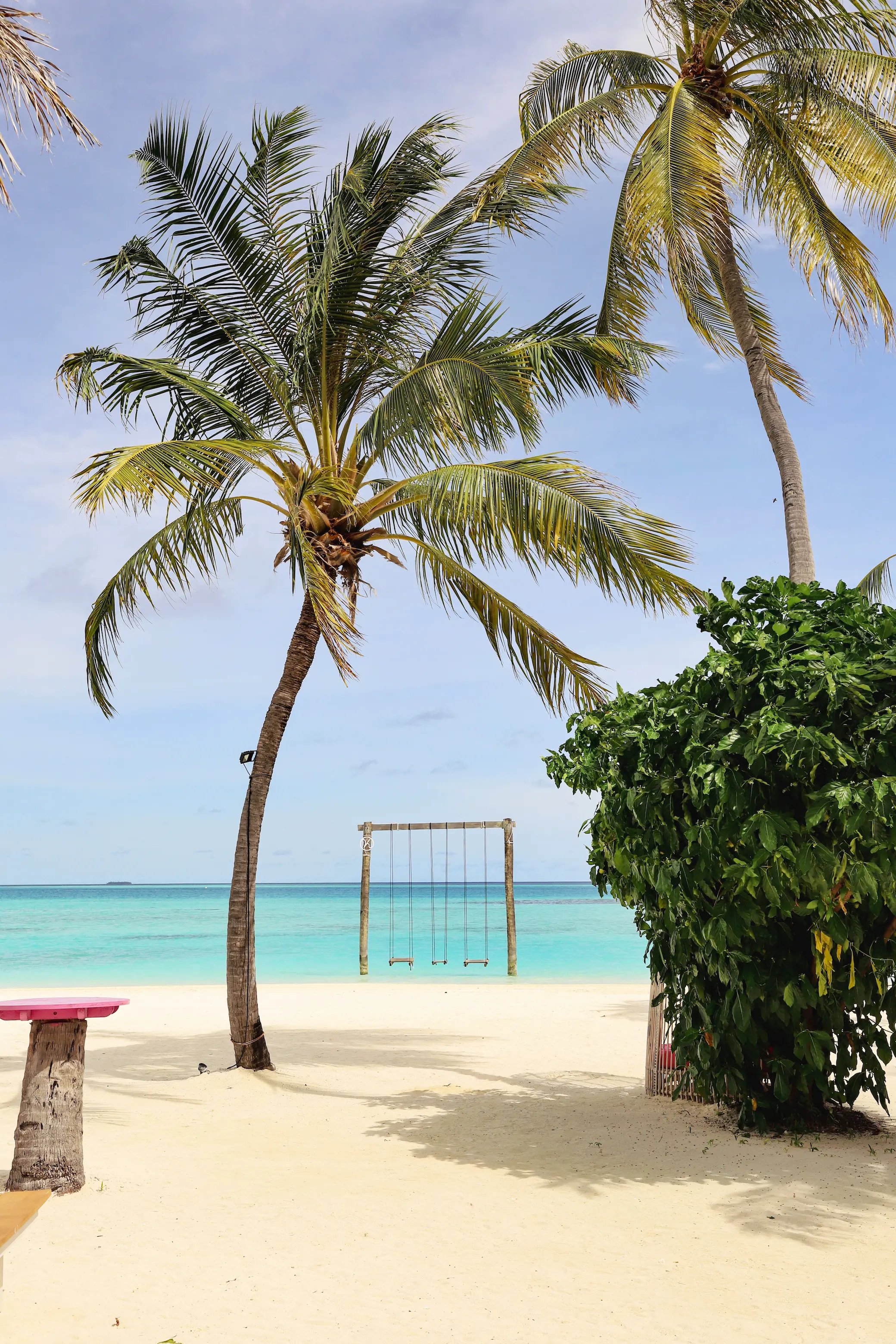 View of the beach at Kandima Maldives, framed by a palm tree