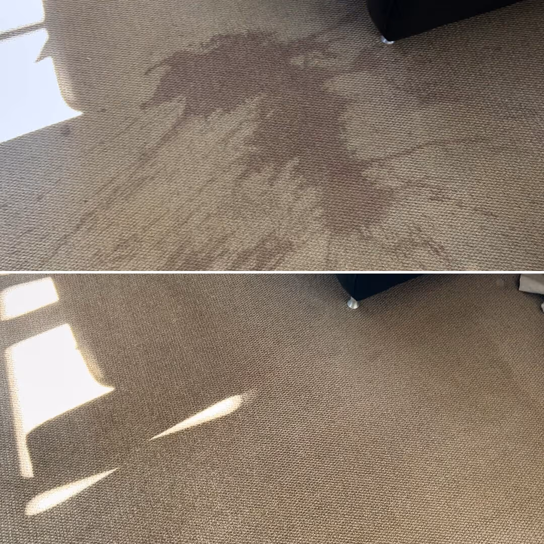 JAE Stain Treatment Before And After Red Wine Stain