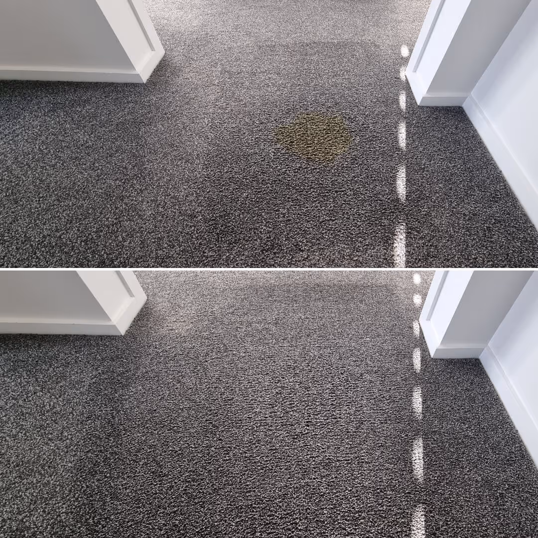 JAE Stain Treatment Before And After Grey Carpet Stain