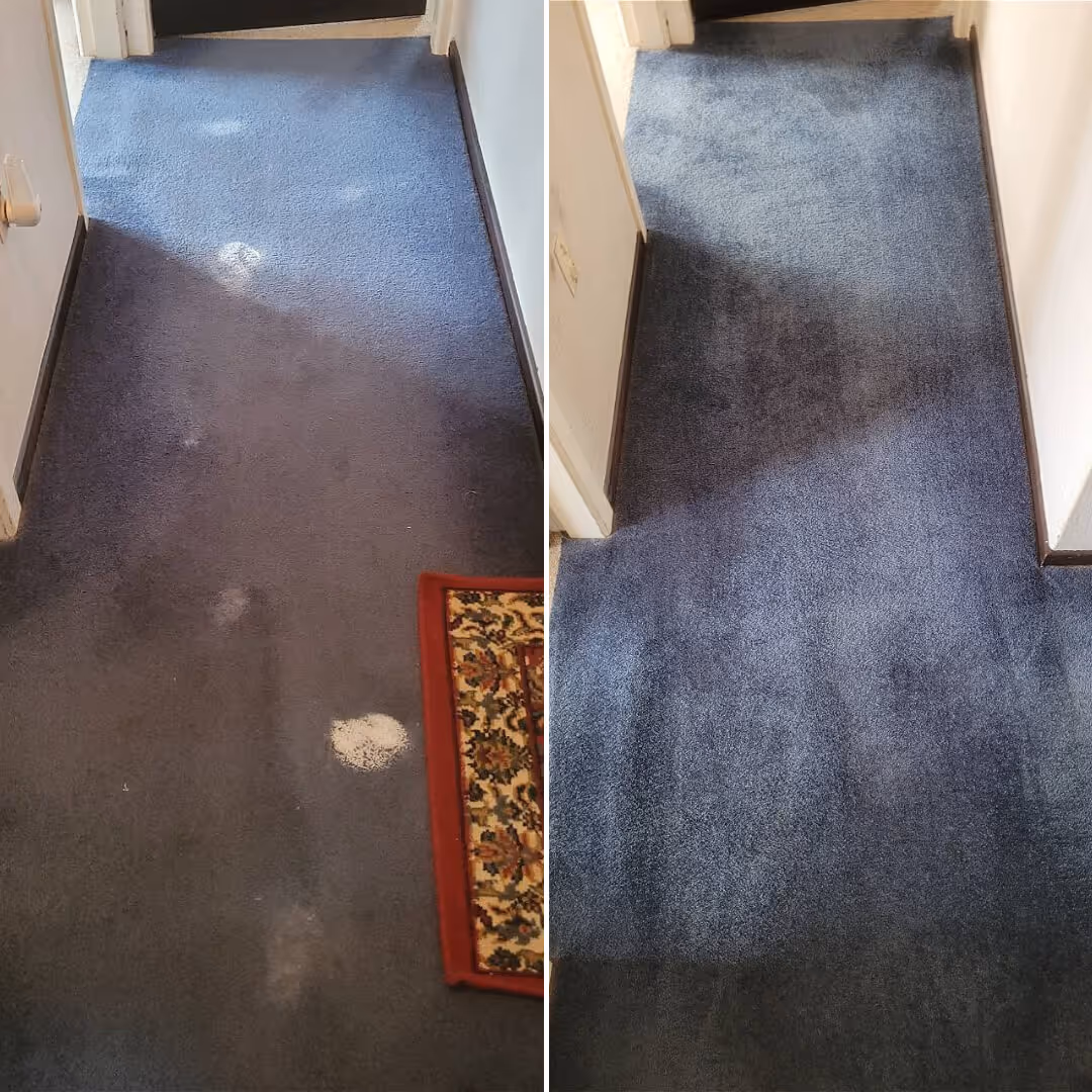 JAE Stain Treatment Before and after paint carpet stain