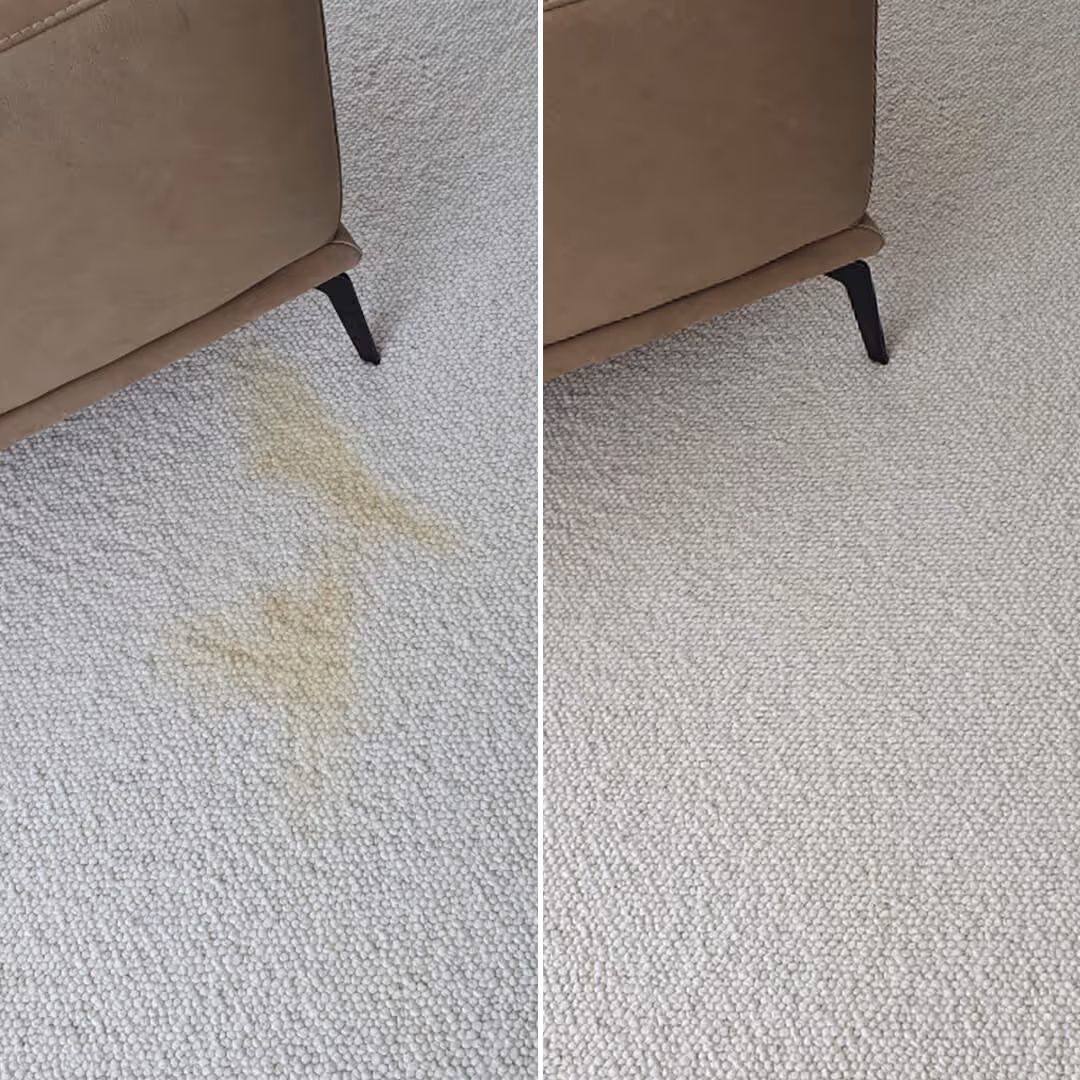 JAE Stain Treatment Before and after yellow carpet stain
