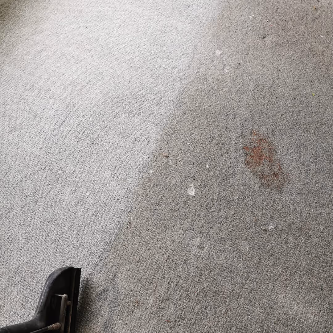 JAE Carpet Cleaning before and after stained carpet