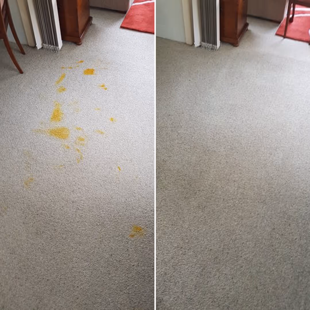 JAE Carpet Stain Treatment Before and after