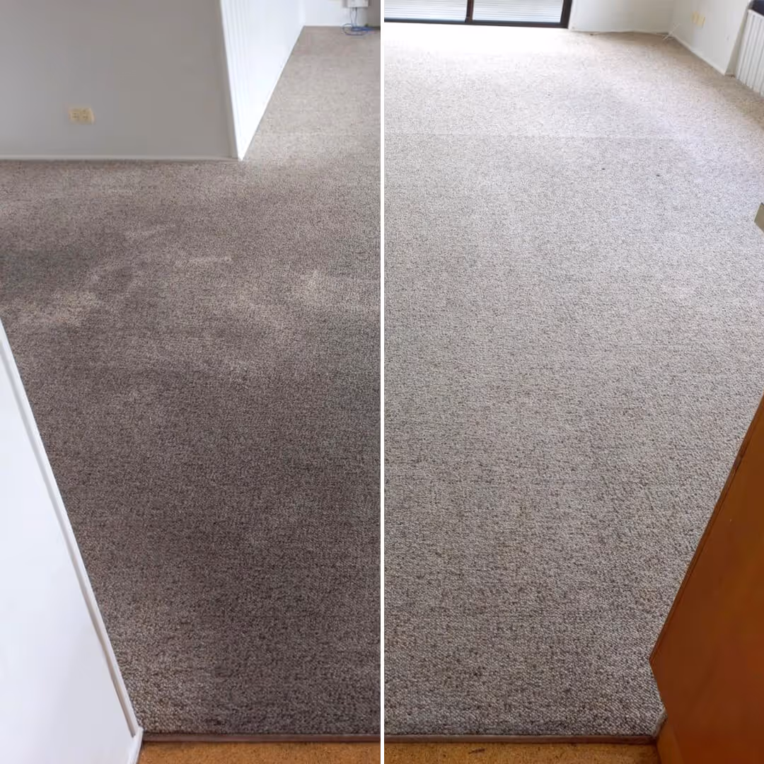 JAE Carpet Cleaning Before and after