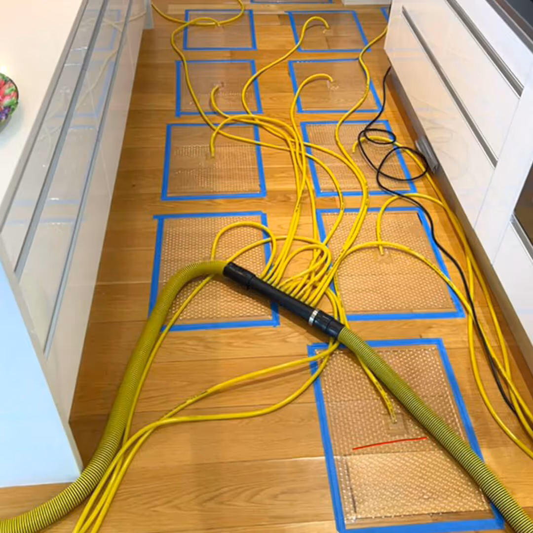 JAE Flood Restoration